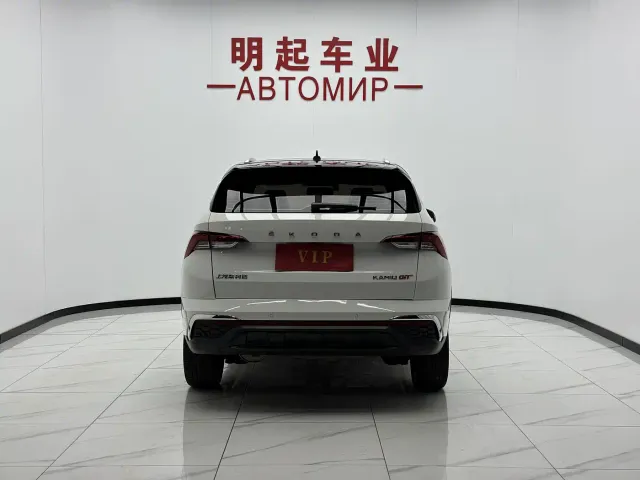 Skoda Kamiq — Фото автомобиля 9