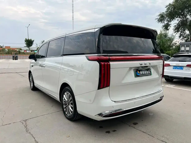 Wey Alpine — Фото автомобиля 14