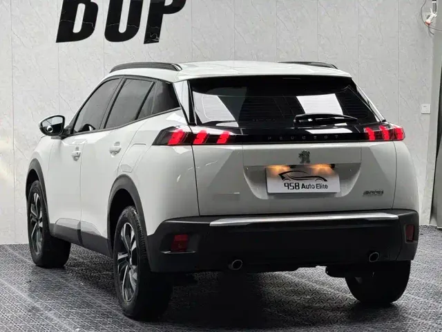 Peugeot 2008 — Фото автомобиля 10