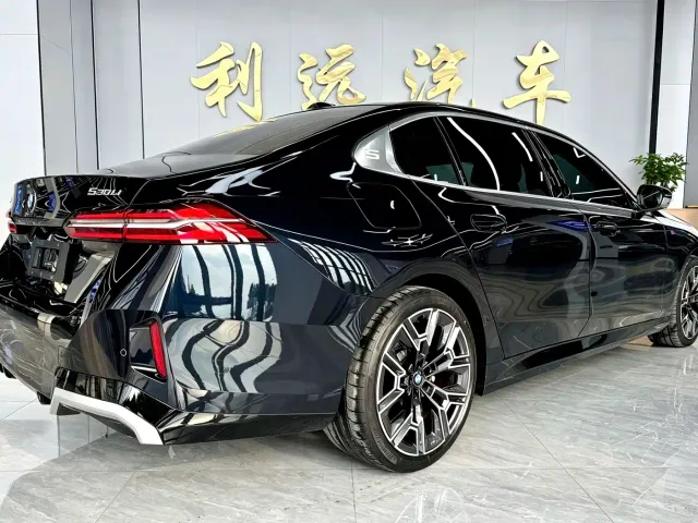 BMW 5 Series — Фото автомобиля 13