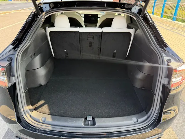 Tesla Model Y — Фото автомобиля 13