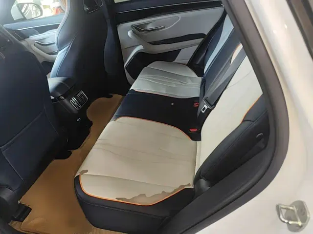 BYD Song PLUS — Фото автомобиля 16