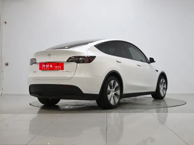 Tesla Model Y — Фото автомобиля 4
