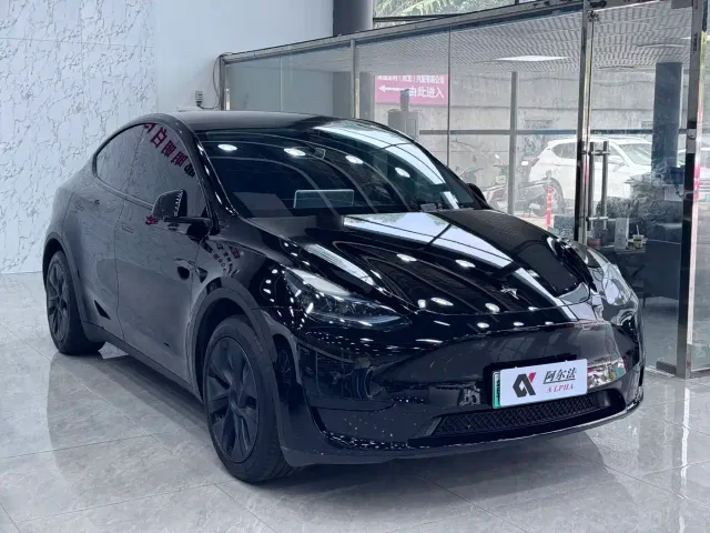 Tesla Model Y — Фото автомобиля 3