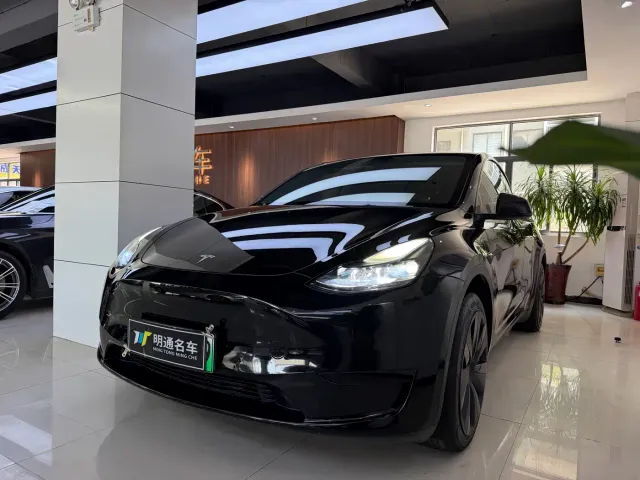 Tesla Model Y — Фото автомобиля 2