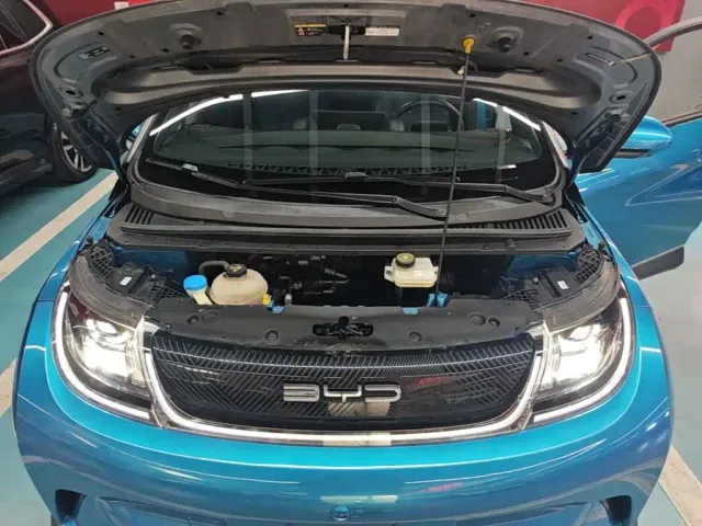 BYD Dolphin — Фото автомобиля 19