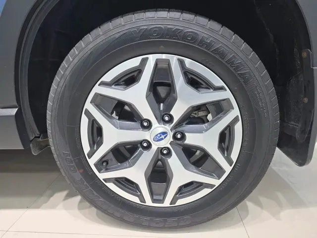 Subaru Forester — Фото автомобиля 10