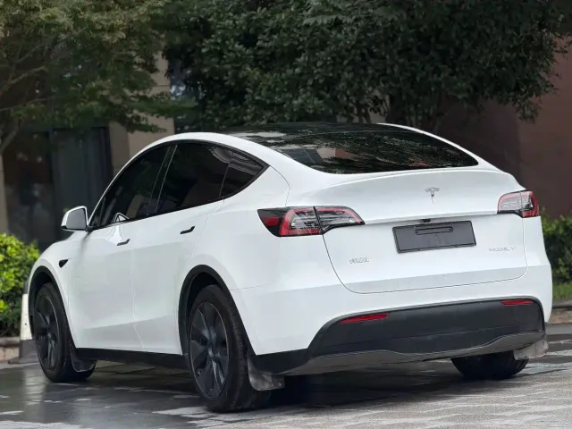 Tesla Model Y — Фото автомобиля 10