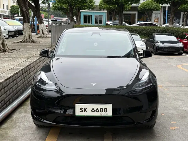 Tesla Model Y — Фото автомобиля 3