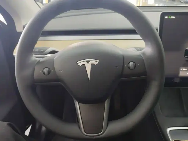 Tesla Model Y — Фото автомобиля 10