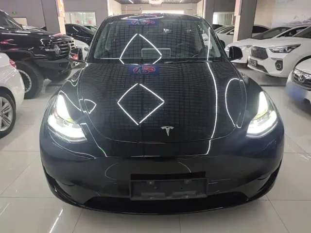 Tesla Model Y — Фото автомобиля 2