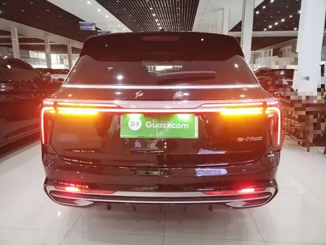 Hongqi E-HS9 — Фото автомобиля 5