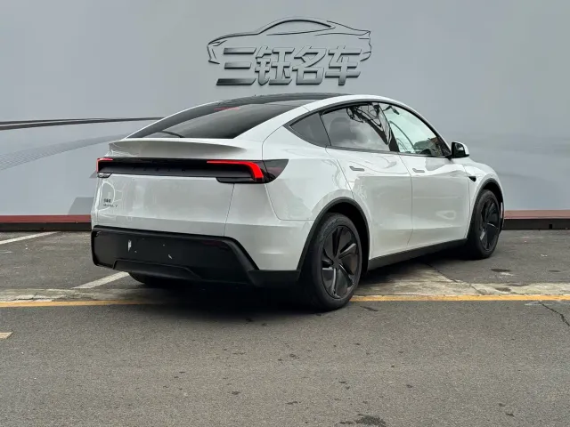 Tesla Model Y — Фото автомобиля 6
