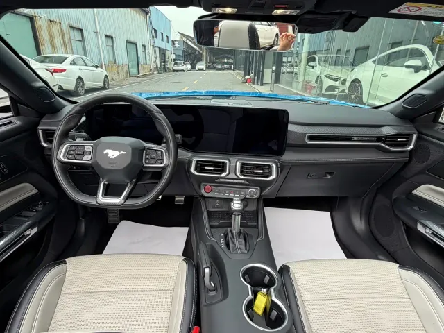 Ford Mustang — Фото автомобиля 10