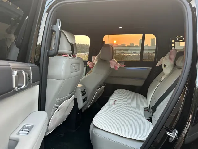 BYD FangChengBao Titanium 7 — Фото автомобиля 16