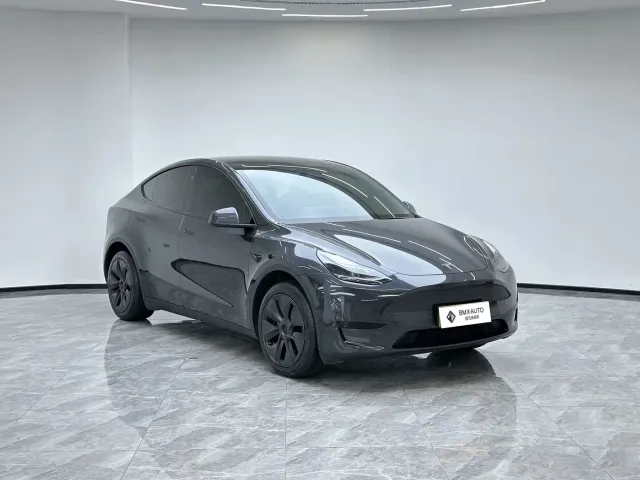 Tesla Model Y — Фото автомобиля 3