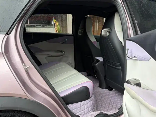 BYD Dolphin 2021 401km Knight Edition — Фото автомобиля 10