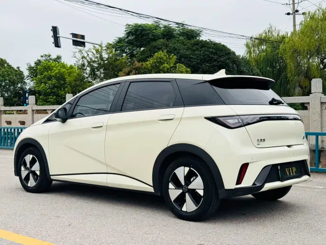 BYD Dolphin — Фото автомобиля 5