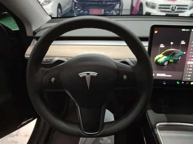 Tesla Model Y — Фото автомобиля 10