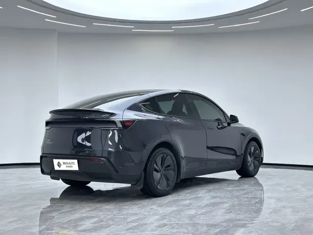 Tesla Model Y — Фото автомобиля 4