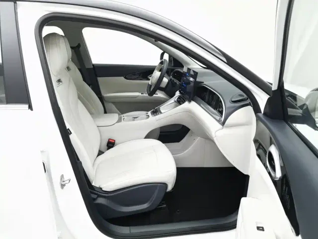 Geely Starry Wish — Фото автомобиля 23