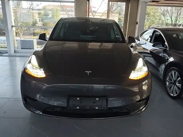 Tesla Model Y — Фото автомобиля 2