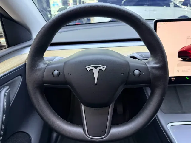 Tesla Model Y — Фото автомобиля 10