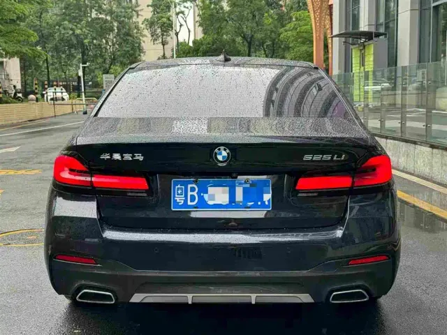 BMW 5 Series — Фото автомобиля 5