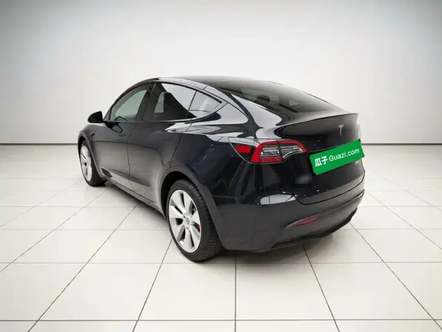 Tesla Model Y — Фото автомобиля 4