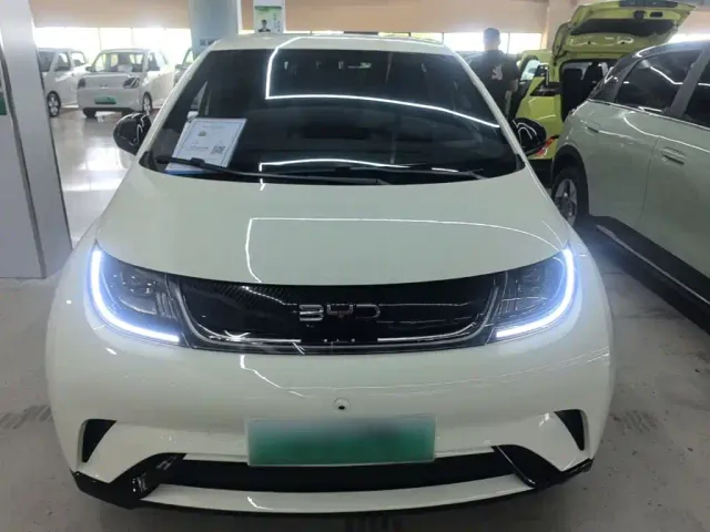 BYD Dolphin — Фото автомобиля 2
