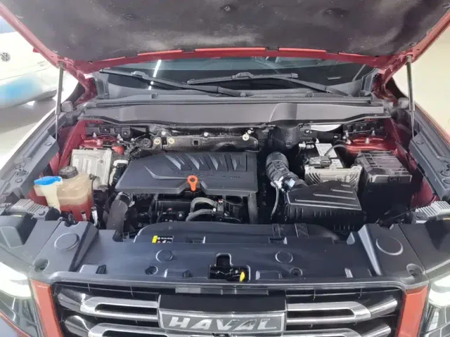 Haval Big Dog — Фото автомобиля 19