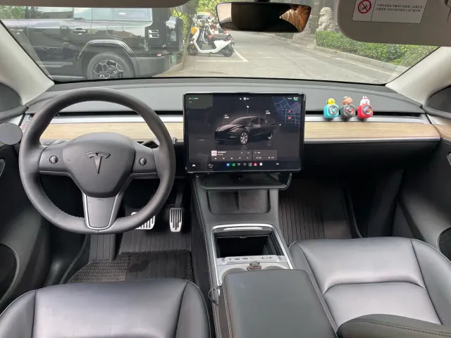 Tesla Model Y — Фото автомобиля 12