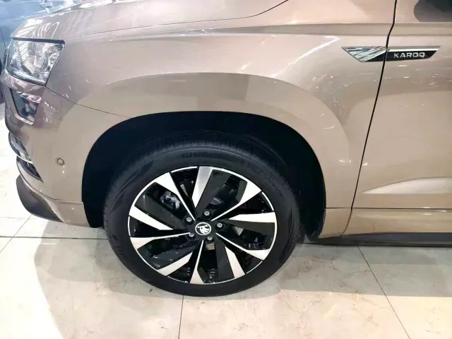 Skoda Karoq — Фото автомобиля 8