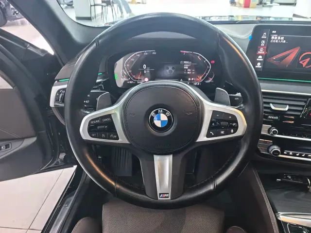 BMW 5 Series — Фото автомобиля 8