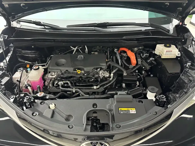 Toyota Sienna — Фото автомобиля 4