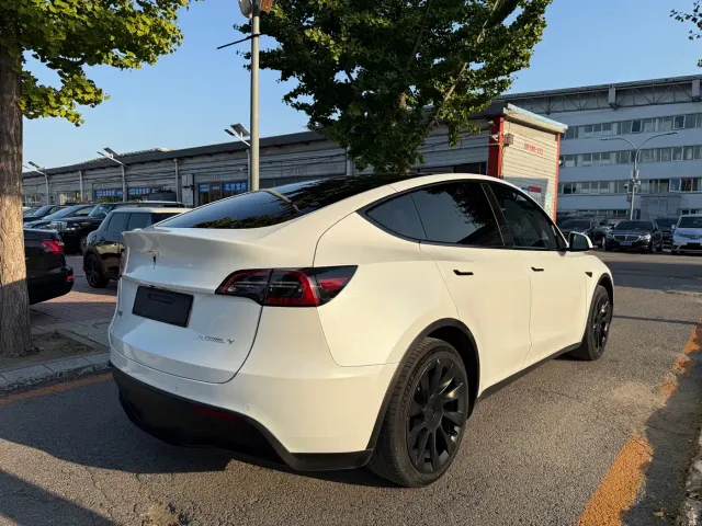 Tesla Model Y — Фото автомобиля 13