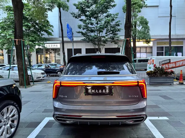 Hongqi E-HS9 — Фото автомобиля 6