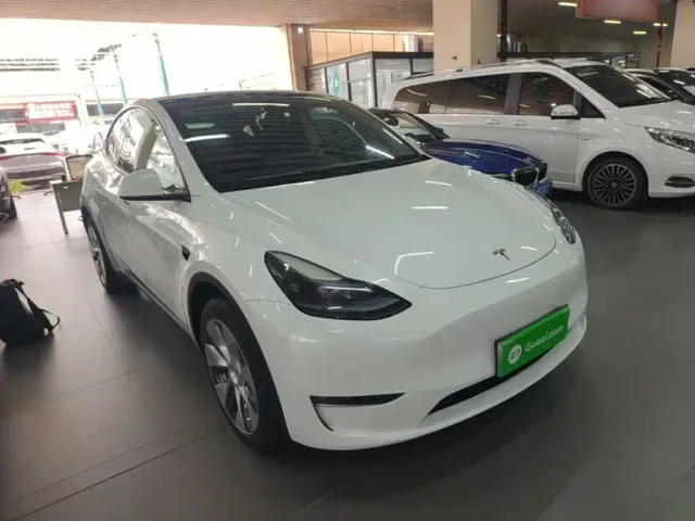 Tesla Model Y — Фото автомобиля 3