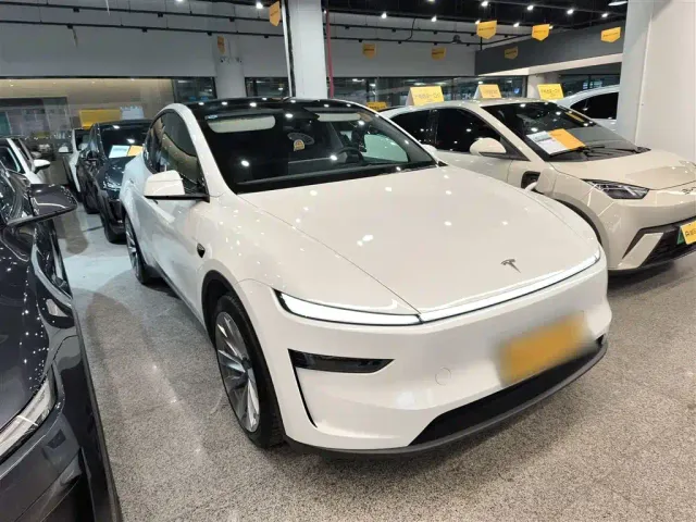 Tesla Model Y — Фото автомобиля 21