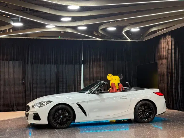 BMW Z4 — Фото автомобиля 11