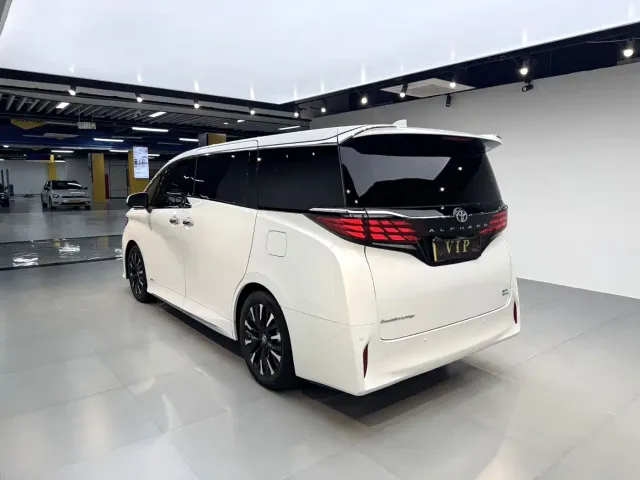 Toyota Alphard — Фото автомобиля 12