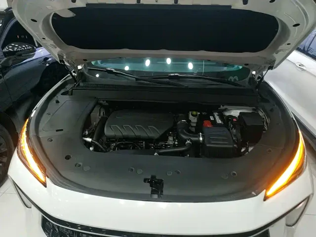 Forthing T5 Evo — Фото автомобиля 15