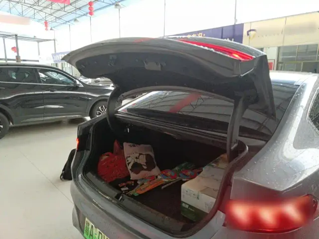 BYD Qin PLUS — Фото автомобиля 14