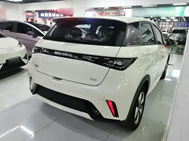 BYD Dolphin — Фото автомобиля 6