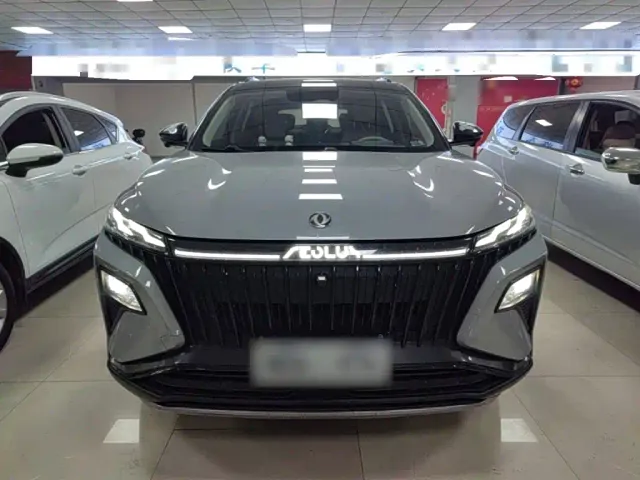 Dongfeng Haoji — Фото автомобиля 2