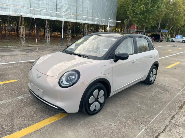 Фотография автомобиля — Wuling Binguo Pro