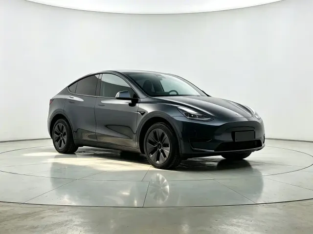 Tesla Model Y — Фото автомобиля 3