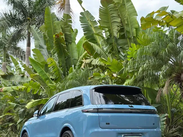 Li Auto L8 — Фото автомобиля 7