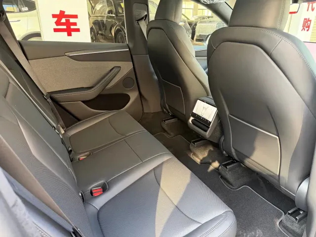 Tesla Model Y — Фото автомобиля 11