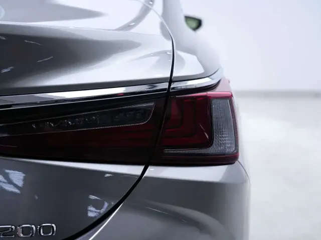 Lexus Lexus ES 2021 200 Excellence Edition — Фото автомобиля 13